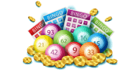 variety of bingo games